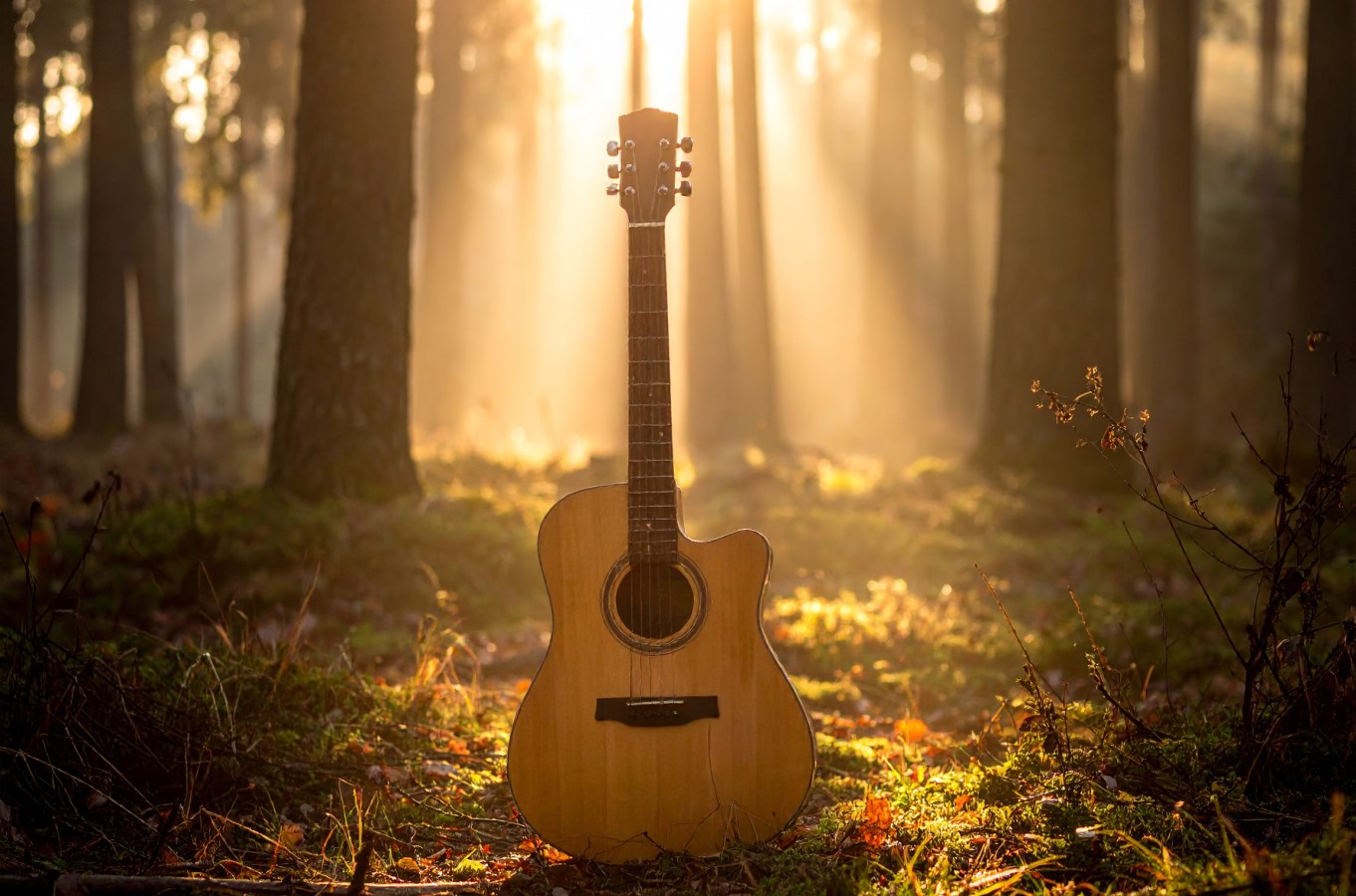 voci-e-chitarre-nella-notte_30